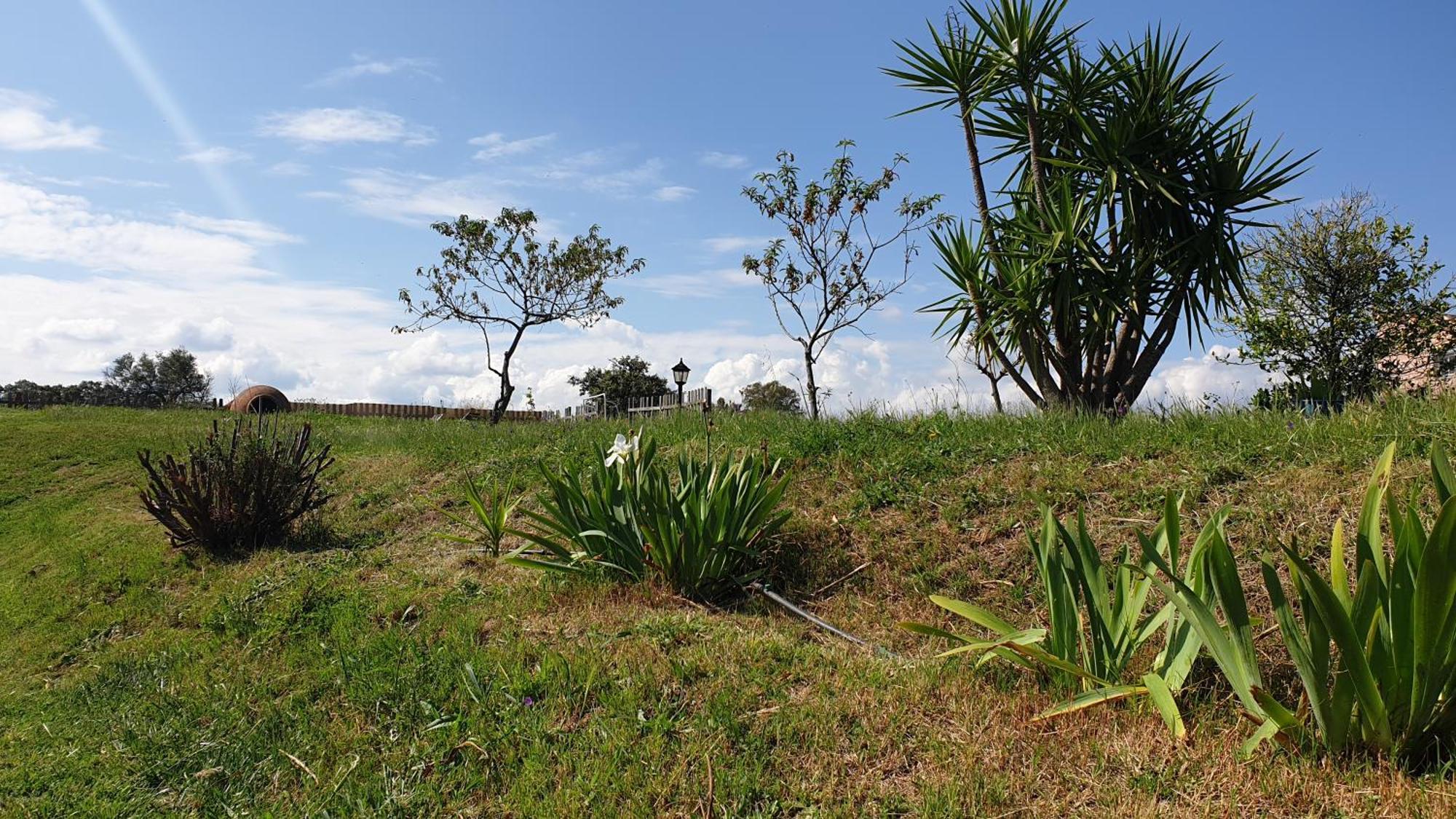 Finca La Carb0Nera Oliva de Plasencia Exteriér fotografie